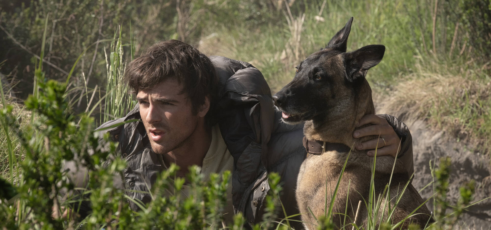 The Dog Stars